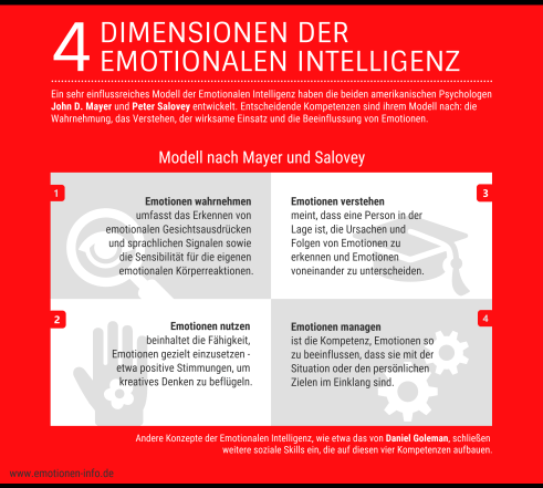 Dimensionen der Emotionalen Intelligenz